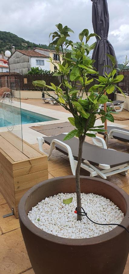 Natural&Mente Apartamentos Valle Del Jerte Эль-Торно Экстерьер фото